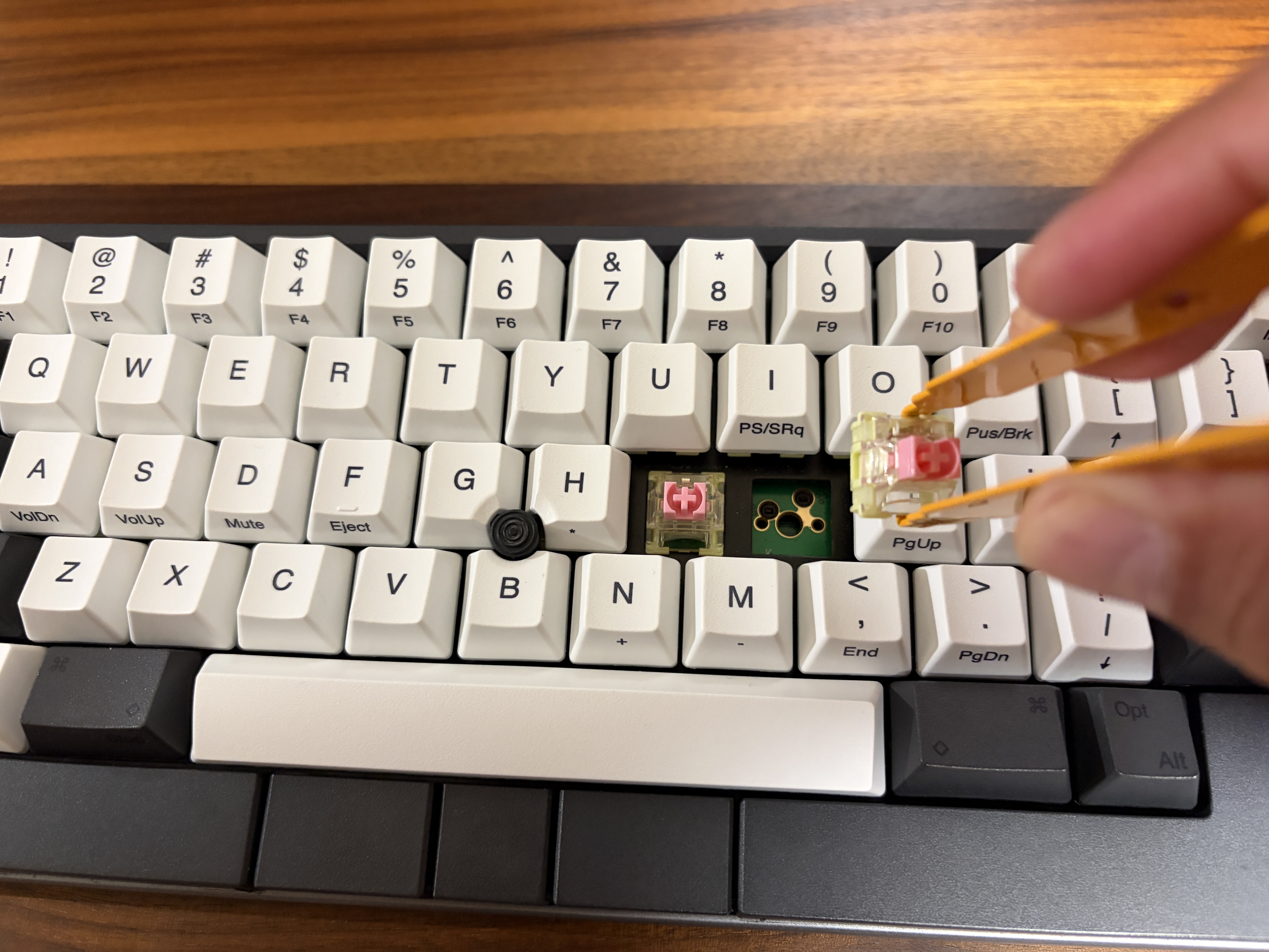 スイッチプラーでHHKB Studioのピンク軸スイッチを抜き差ししている作業中の様子